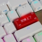 OEM Profile ABS Backlit Keycaps Laser Carving for Cherry MX Switch 2.25U Enter / 2U Backspace